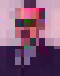 Privado Ferreira Gonçalves