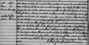 mariateresa_16nov1890