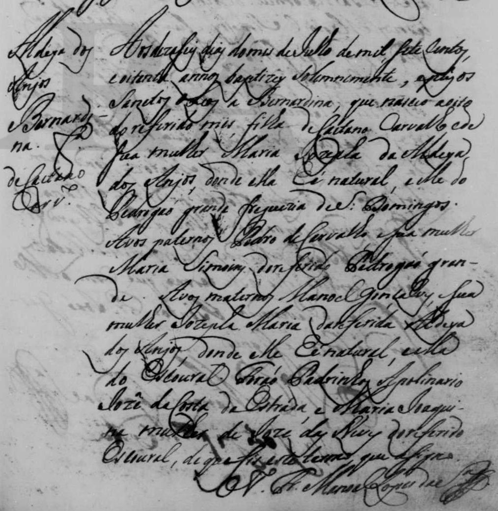 Bernardina
